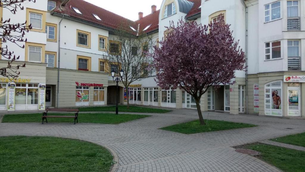Appartement Rosegarden Sárospatak